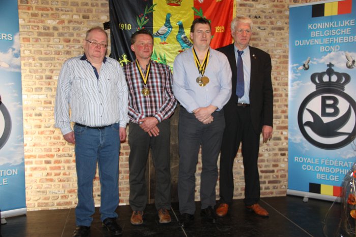 As-Duif Kleine Snelheid jonge